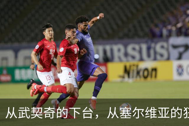 从武契奇的下台，从塞尔维亚的狂欢，来分析中国网友的眼界和素养
